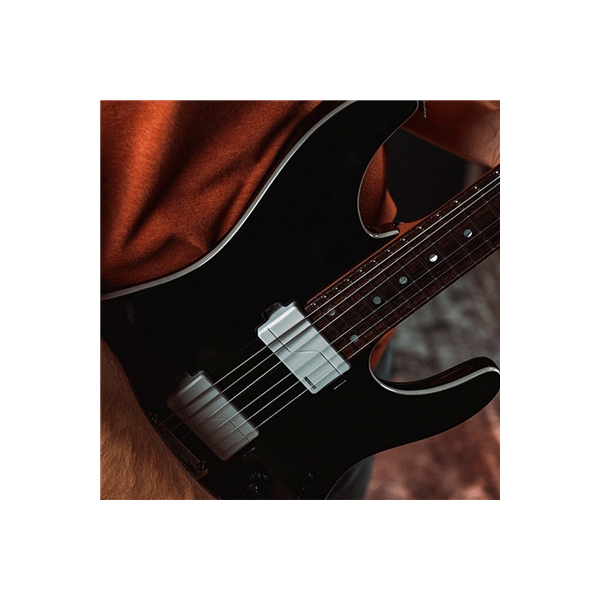 Fishman Fluence Modern Humbucker Set (PRF-M36-SW2)