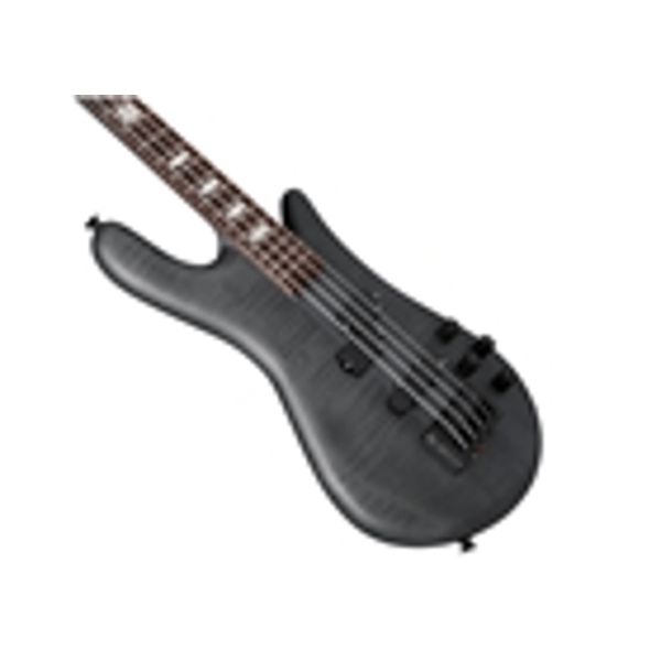 Spector Euro 4 LX - Black Stain Matte