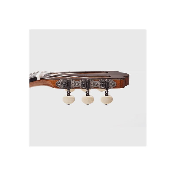 Esteve Torres Chitarra Classica