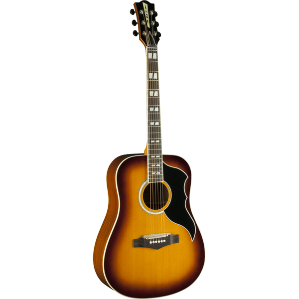 Eko Guitars Ranger VI VR Eq Honey burst