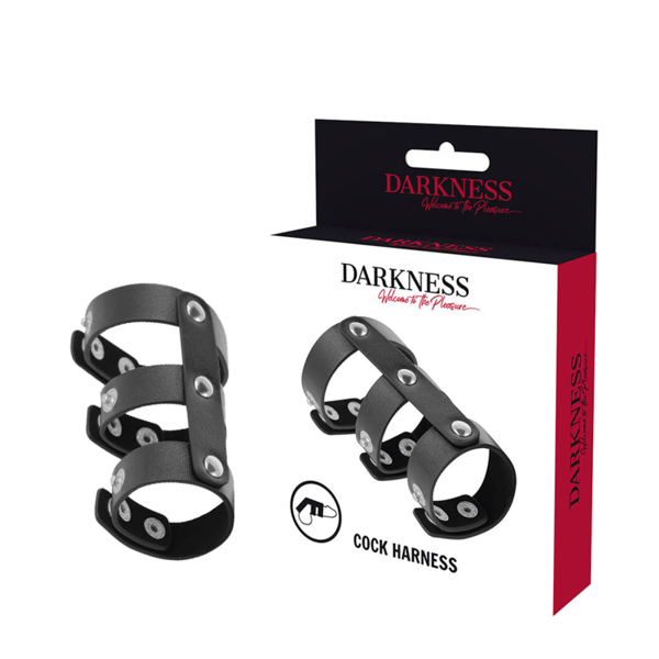 DARKNESS™ – VERSTELLBARER DOPPEL-PENIS- UND HODENRING AUS LEDER