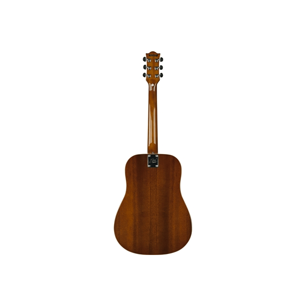 Eko Guitars Ranger VI VR Honey burst