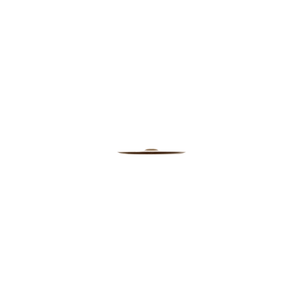 Zildjian A0614-14" FX China Trash