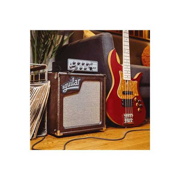 Aguilar SL 110 Chocolate Brown - 8 Ohm