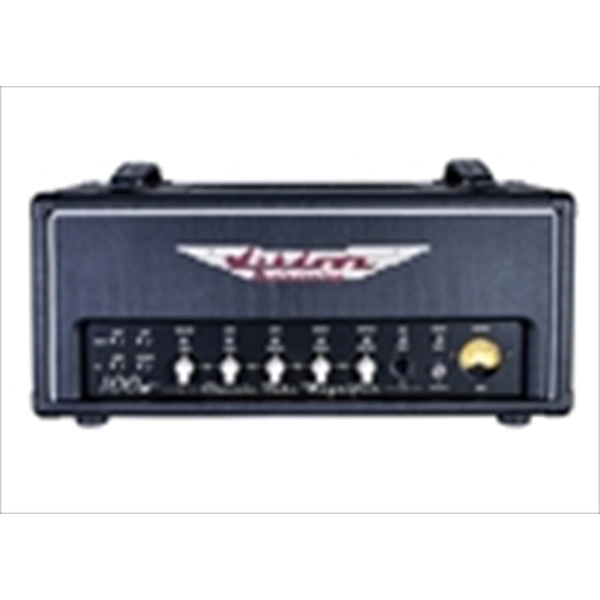 ASHDOWN CTM-100 TESTATA VALVOLARE PER BASSO ELETTRICO 100W