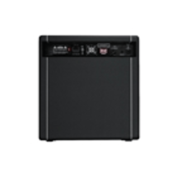 Hiwatt Bulldog 300 Combo per basso 1x15 300 W