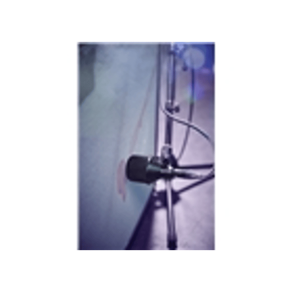 Shure Nexadyne NXN2
