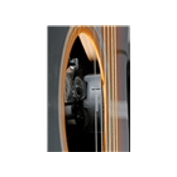 Eko Guitars Ranger VI VR Eq Honey burst