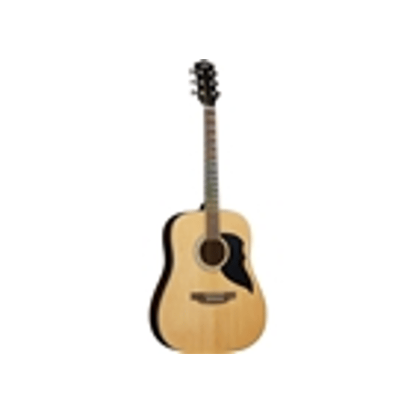 Eko Guitars Ranger Nat Visual Note