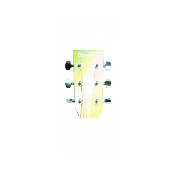 OLVEIRA AG330 CHITARRA ACUSTICA PROFESSIONALE 4/4 41" TOP FONDO E FASCE IN TIGLIO/MANICO TASTIERA E PONTE IN PALISSANDRO/MECCANICHE CROMATE/COLORE RAINBOW