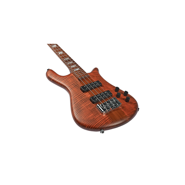 Spector NS Euro 4 Sienna Stain Matte