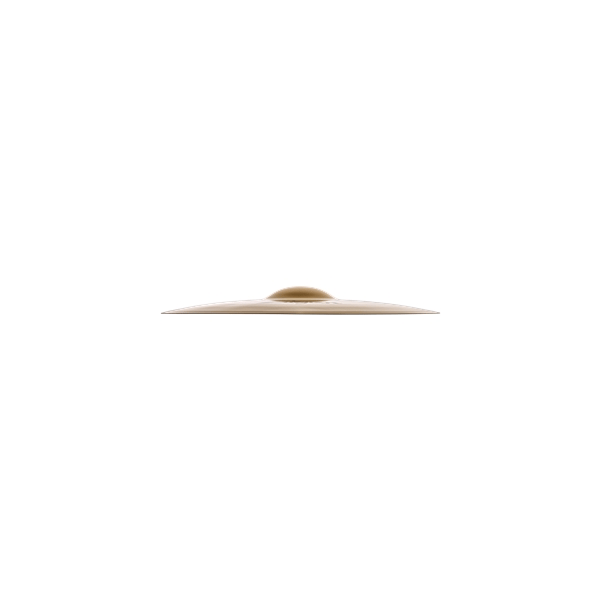 Zildjian A20585-19" A Custom Projection Crash