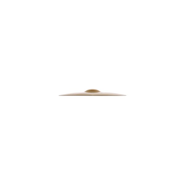 Zildjian A20585-19" A Custom Projection Crash