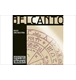 ico 2