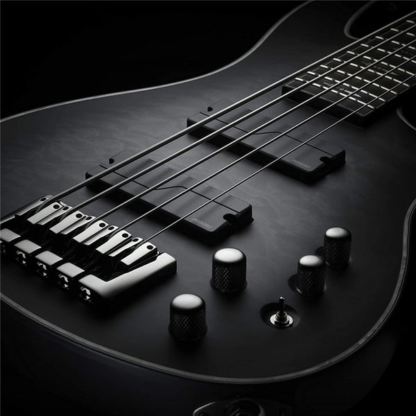 Fishman Fluence Bass Soapbar Black Plastic set/2 5 Corde