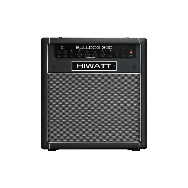 Hiwatt Bulldog 300 Combo per basso 1x15 300 W