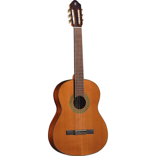 Eko Guitars EKO CHITARRA Vibra 300 Natural