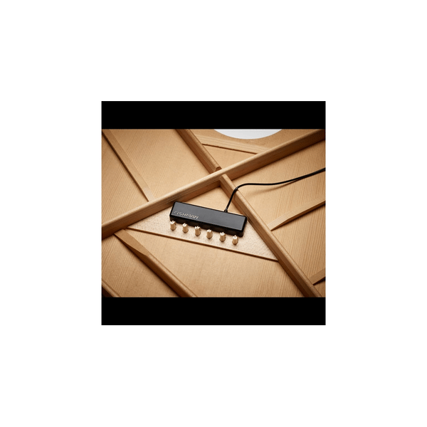 Fishman PowerTap Earth Pickup (PRO-REP-104)