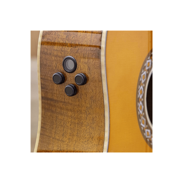 Eko Guitars Ranger Futura