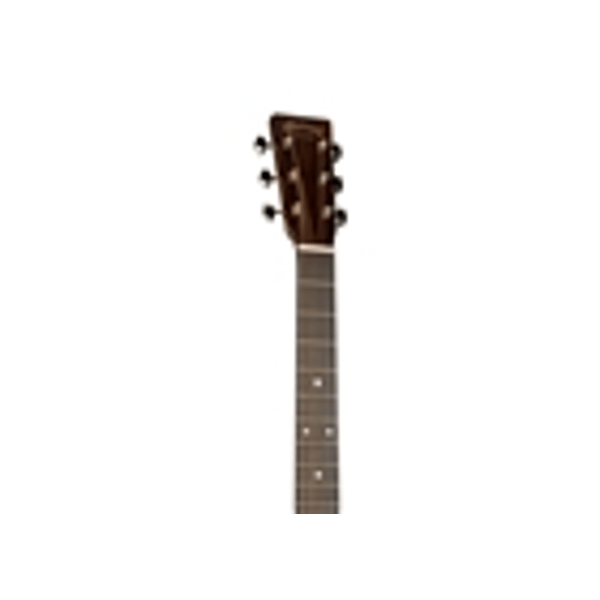 Martin & Co. GPC-16E-01 Rosewood