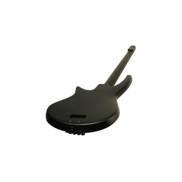 NS Design NXT4a Radius Bass 4 Fretless Satin Black
