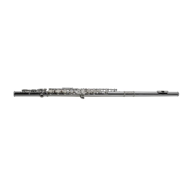 SML Paris VSM FL300E