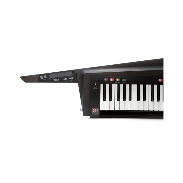 Korg RK-100S2-BLK