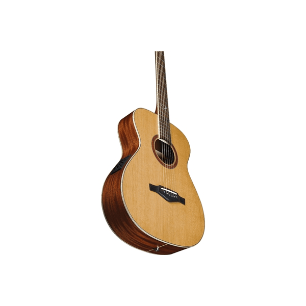 Eko Guitars Evo A350e Baritone
