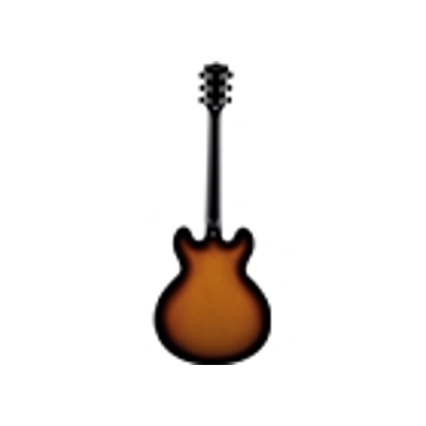 Eko Guitars SA 350