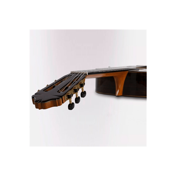 Esteve 65th Anniversario Limited Ed