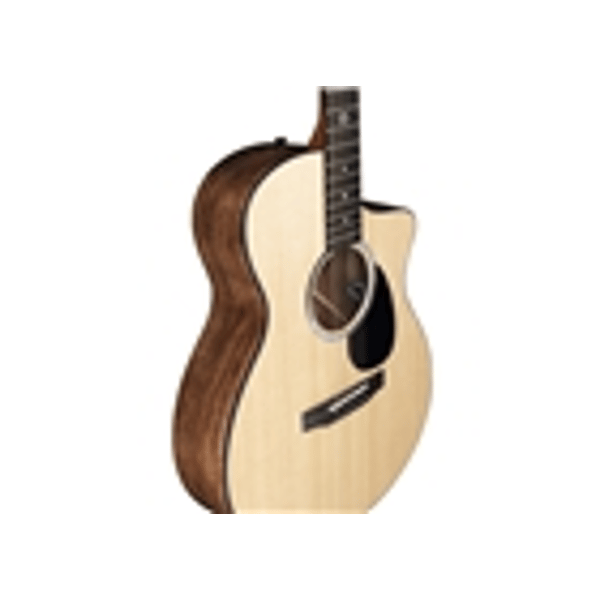 Martin & Co. SC-10E