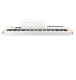 ico 1