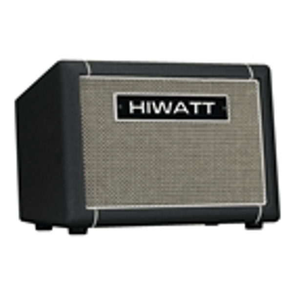 Hiwatt Leeds AC60 Combo per chitarra acustica 1x8 60 W