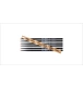 ico 2