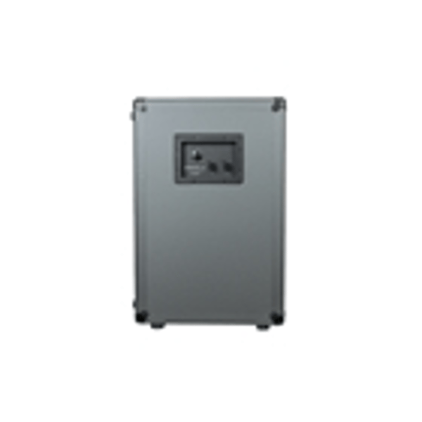 Darkglass DG210N 2x10