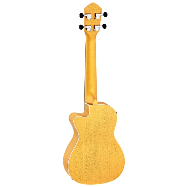 ORTEGA RUSUN-CE