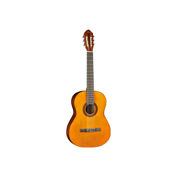 Eko Guitars CS-12