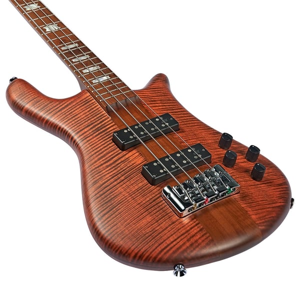 Spector NS Euro 4 Sienna Stain Matte