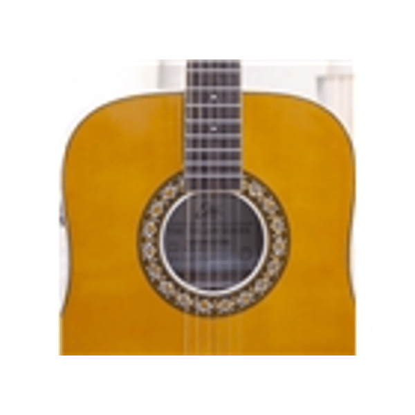 Eko Guitars Ranger Futura