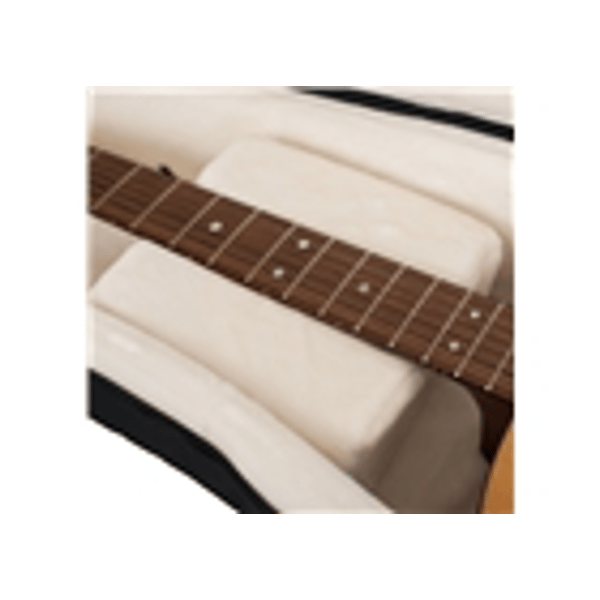 Gator Cases G-PG ACOUSTIC Borsa ProGo chitarra acustica