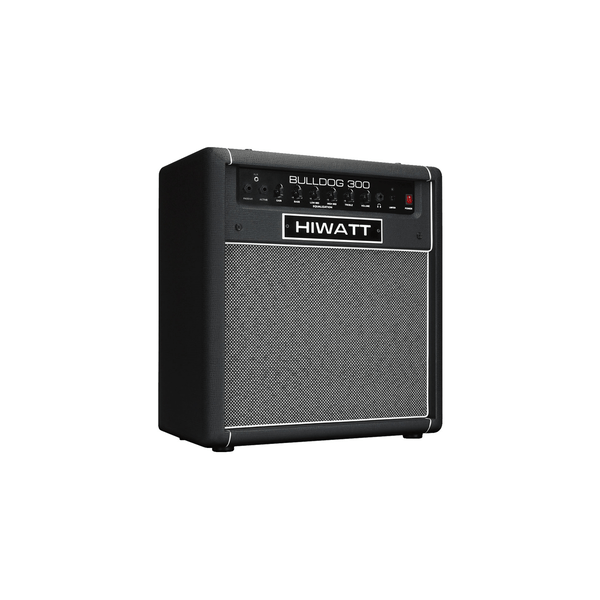 Hiwatt Bulldog 300 Combo per basso 1x15 300 W