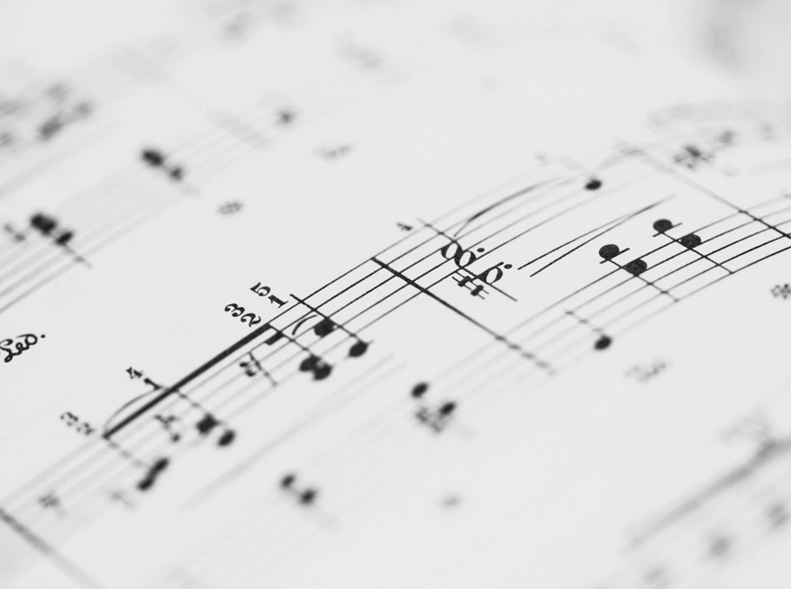 SPARTITI MUSICALI, LIBRI, CD E DVD