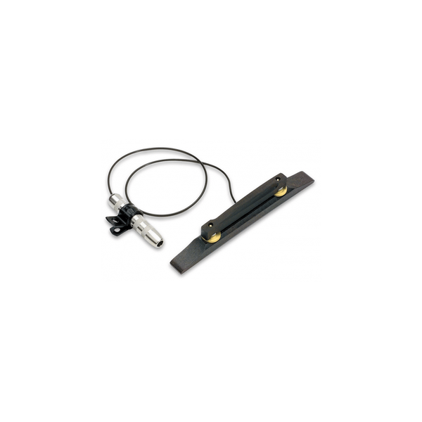 Fishman Archtop Pickup Chitarra