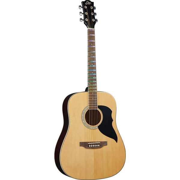 Eko Guitars Ranger Nat Visual Note