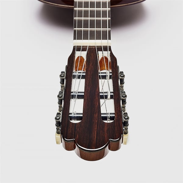 Esteve Torres Chitarra Classica