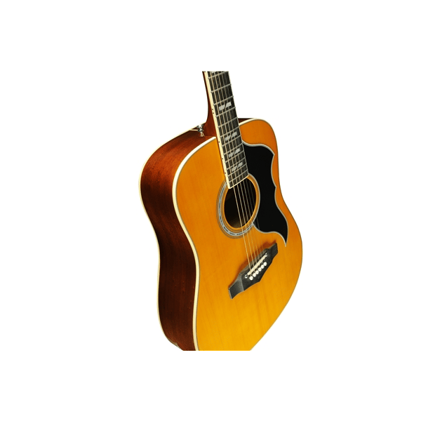 Eko Guitars Ranger VI VR Eq Natural Top Stained