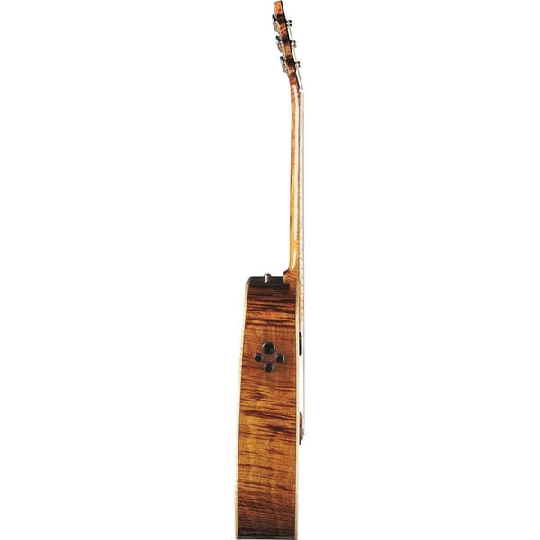 Eko Guitars Ranger Futura