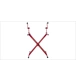 ico 1