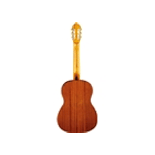 Eko Guitars CS-12