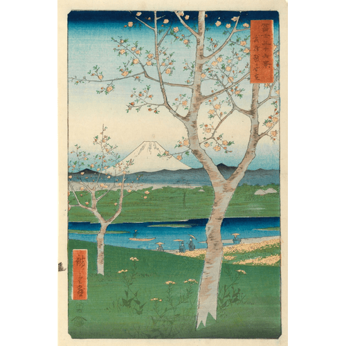 Utagawa Hiroshige Fuji da Koshigaya, Mushashi, No.14 dalla serie '36 Vedute del Monte Fuji'